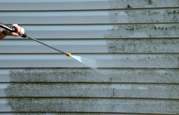 Boat and Dock Cleaning in Navy Yard City, WA